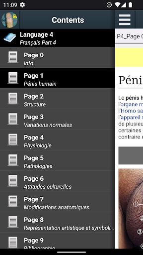 Aperçu de l'application