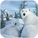 ซิมครอบครัวหมีขั้วโลก