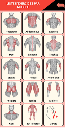Muscle Training Screen 2