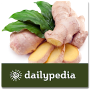 Ginger - Magic Herb Daily