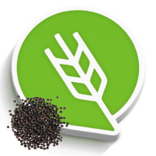 काळी मिरी लागवड #Agrownet™ logo