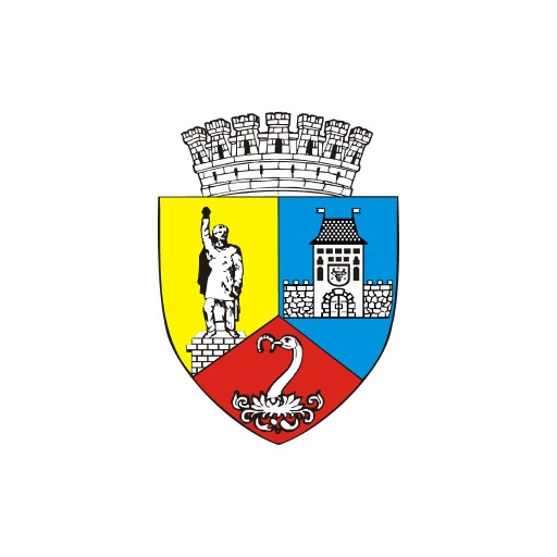 iReport Bistrița logo