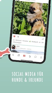 Hundelieb - Dogsharing Screenshot
