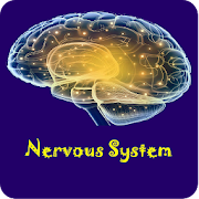 Basic Nervous SystemPhysiology