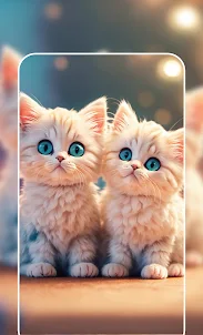 Cute Cat Wallpaper 4K | HD