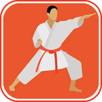 Learn Karate Techniques