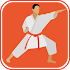 Learn Karate Techniques