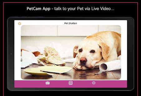 PetCam App - Dog Camera App Varies with device APK screenshots 8