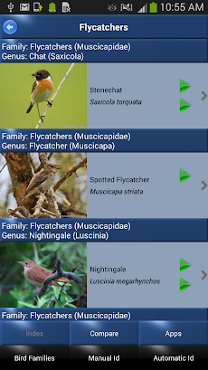 Bird Song Id: Auto Recognitionのおすすめ画像5