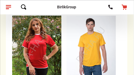 Android application Интернет-магазин BirlikGroup screenshort