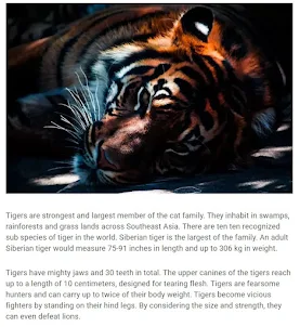 Life of Tigers