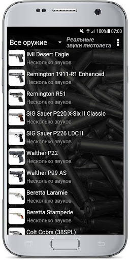 Предварительный просмотр приложения