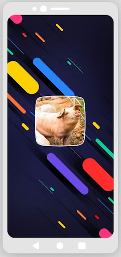 Android application Pig Sounds screenshort