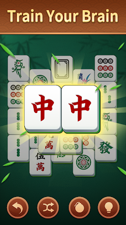 Game screenshot Toki Mahjong Games For Seniors mod apk