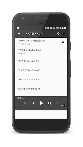 Amharic Audio Bible Screen 2