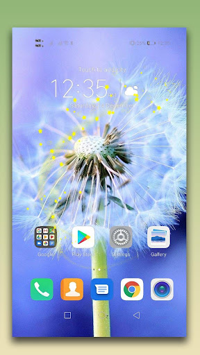 Dandelion Live Wallpaper Screen 3