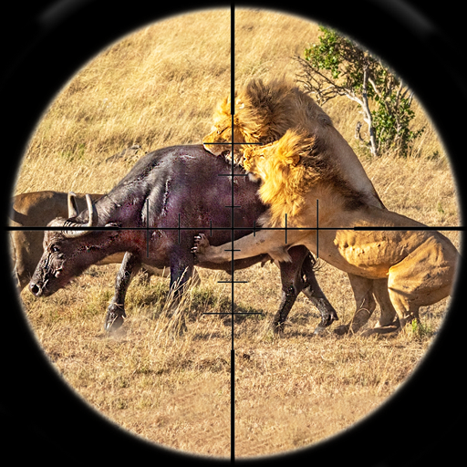 Animals Hunting Gun Games 3D 1.0 Icon