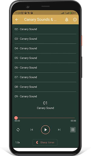 Canary Sounds and Singing