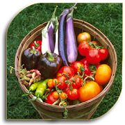 Vegetable Gardening (Guide)