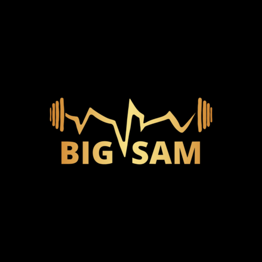 BIGSAM logo
