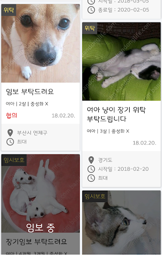 반동라-반려동물,고양이,강아지,유기견후원 Screen 3