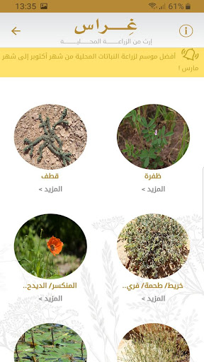 Gherasuae Screen 3