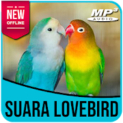 Suara Burung Lovebird Ngekek Panjang Terbaik