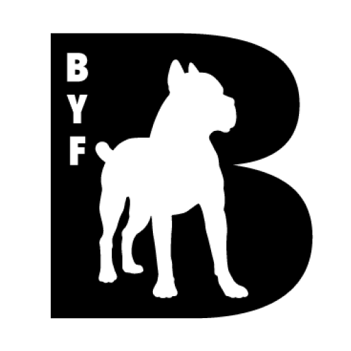 Brickyard Fitness logo