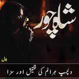 Shah Chor Novel Urdu icon