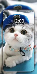 Cute Cat Wallpaper Live HD