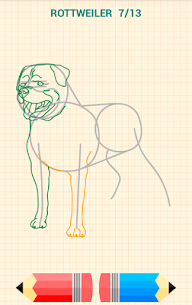 How to Draw Dogs 10