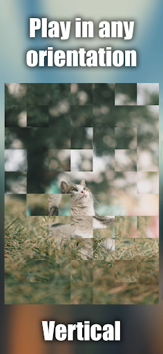 Collect the picture - Mosaic Screen 2