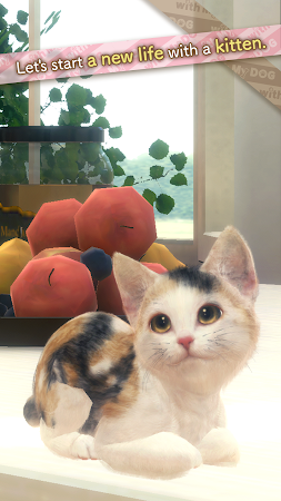 Game screenshot with My CAT mod apk