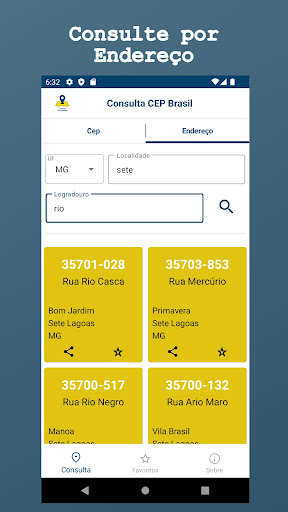 Consulta Cep Brasil Screen 2