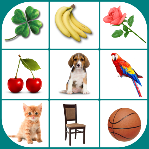 Brain game. Picture Match. 2.5.0 Icon