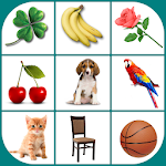 Cover Image of Download Brain game. Picture Match.  APK