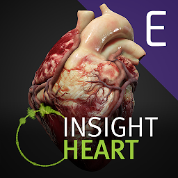 Imazhi i ikonës INSIGHT HEART Enterprise