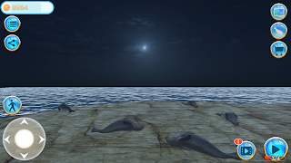 Seal Island - Screenshot 3