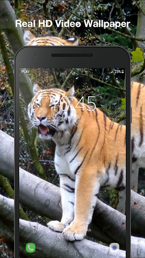 Tiger 3d Live Wallpaper