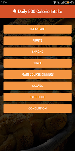 Daily 500 Calorie Intake Screen 3