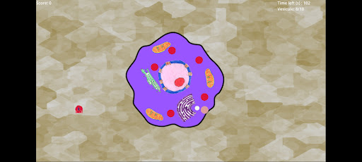 CellSurvival Screen 3