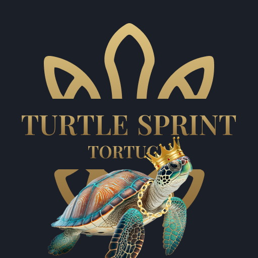 Turtle Sprint Tortuga