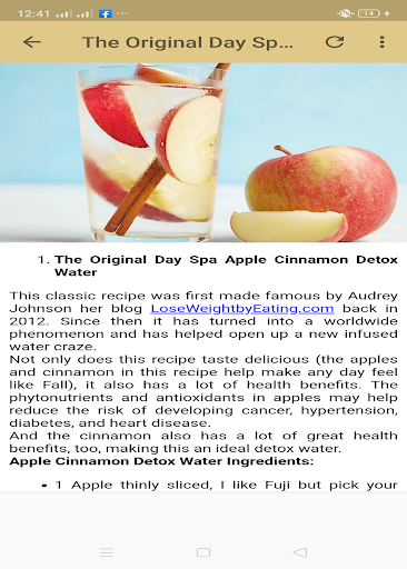 Detox water Recipes 4 WeightLoss