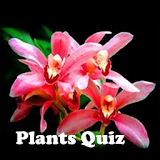 Plants Quiz - for botanists icon