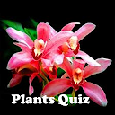 Plants Quiz - for botanists