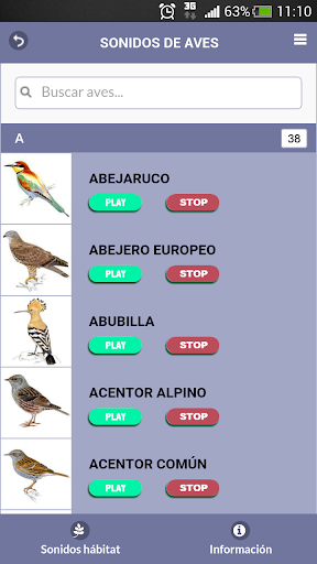 Birding in Extremadura