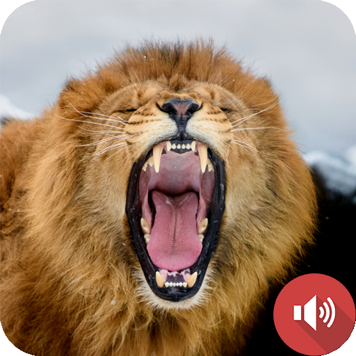 Lion Sounds logo