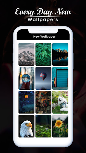 10K+ HD Wallpapers Screen 2