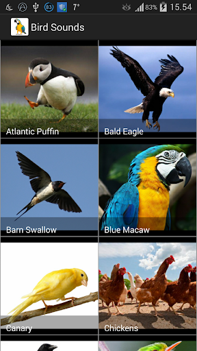 Android application Bird Sounds screenshort