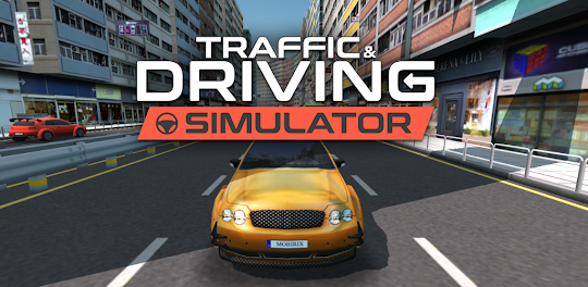 Traffic and Driving Simulator